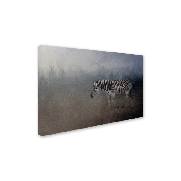 Jai Johnson 'Zebra In A Snow Storm' Canvas Art,30x47